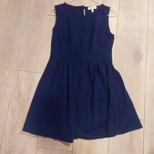 Monteau Navy Pleated Dress